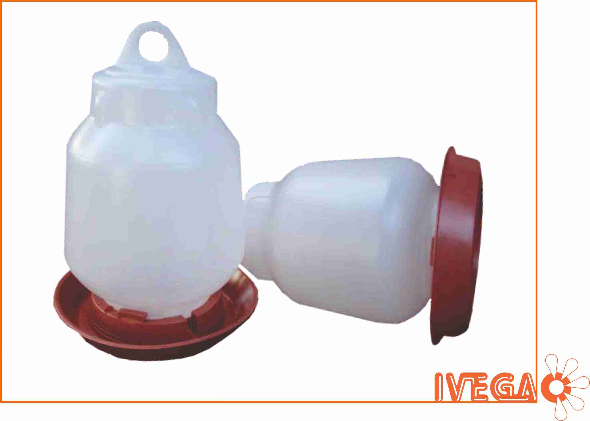 bebederos pollitos honguitos